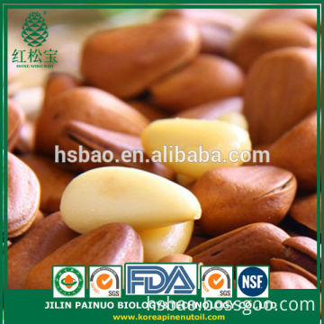 Deep Discount New Harvest Nutrition Open Pine Nuts in Shell